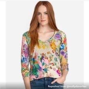 Johnny Was Los Angeles Light Dreamer Floral Graphic V-neckline Long Sleeves Top